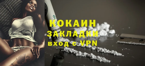 гидра Покачи
