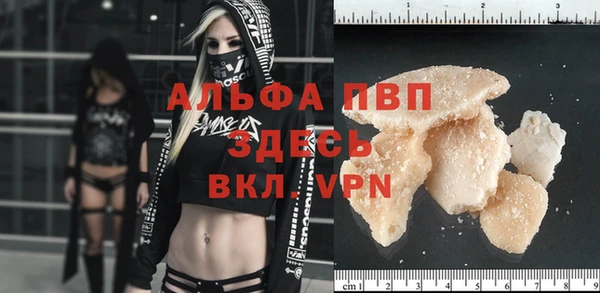 гидра Покачи
